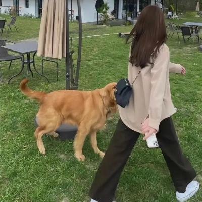 法医秦明之读心者