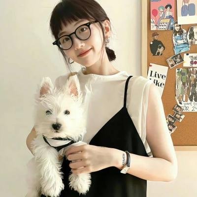 后备计划